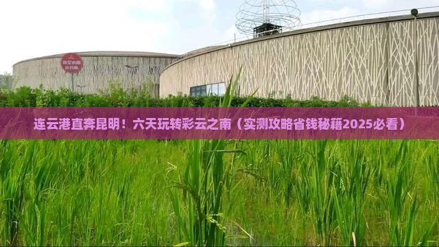 连云港到云南昆明六日游