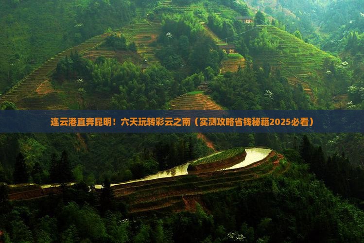 连云港到云南昆明六日游