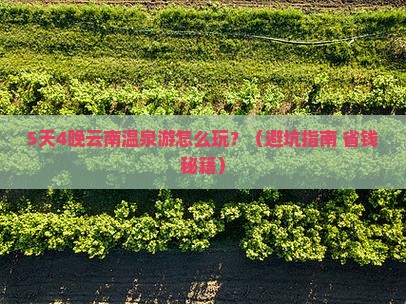 劳动节到云南温泉旅游