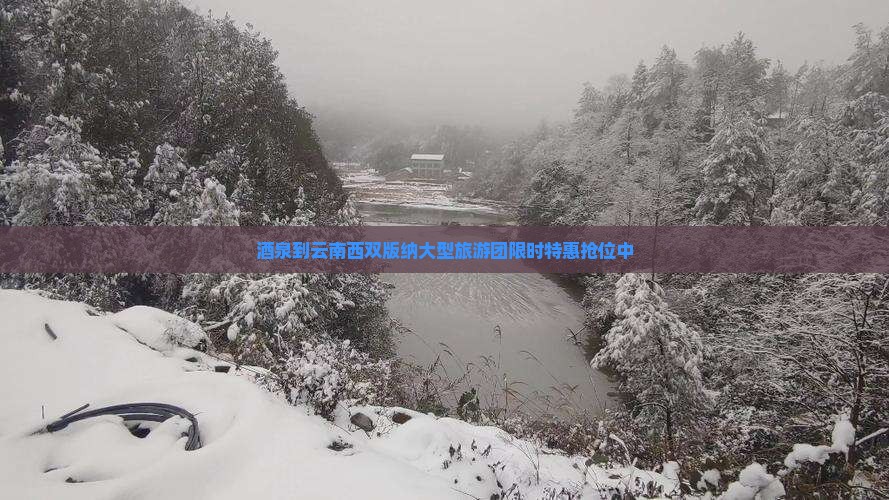 酒泉到云南西双版纳大型旅游团