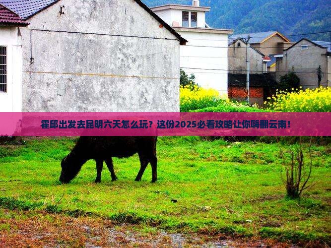 霍邱到云南昆明六日游