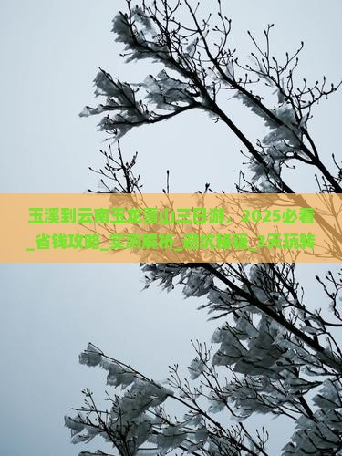 玉溪到云南玉龙雪山三日游
