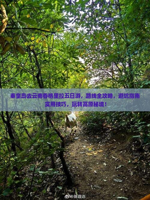 秦皇岛去云南香格里拉五日游