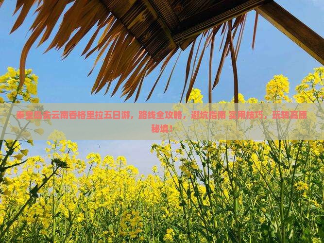秦皇岛去云南香格里拉五日游