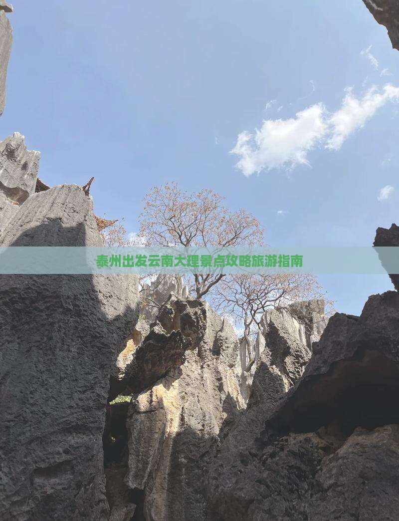 泰州去云南大理哪里玩