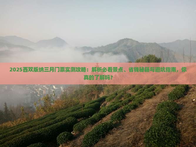 三月到云南西双版纳门票