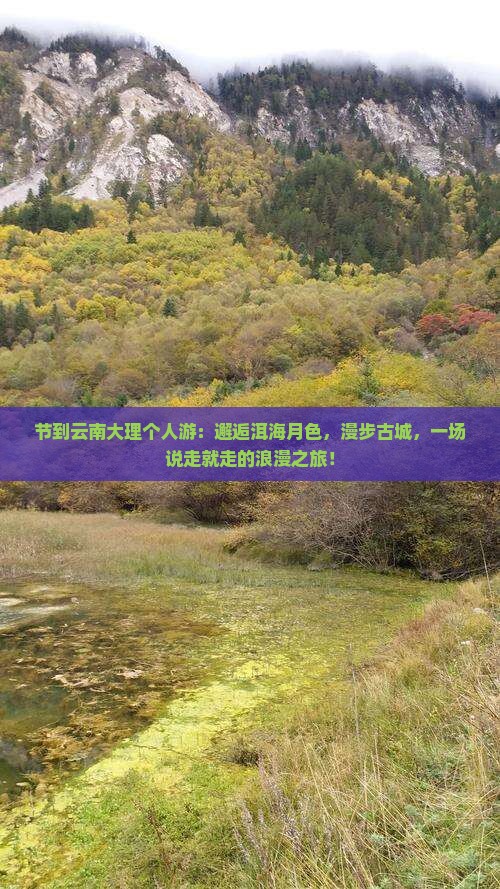 中秋节到云南大理个人游