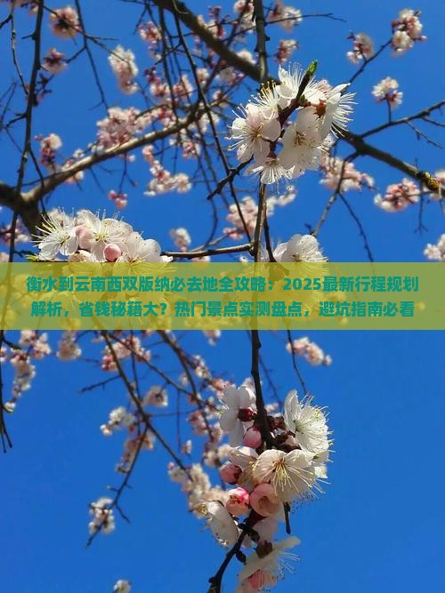 衡水到云南西双版纳必去地