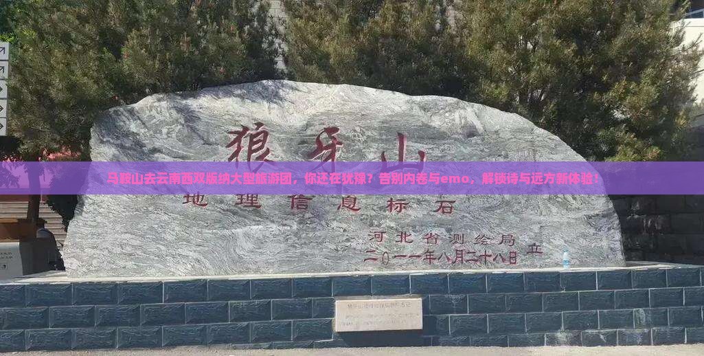马鞍山去云南西双版纳大型旅游团