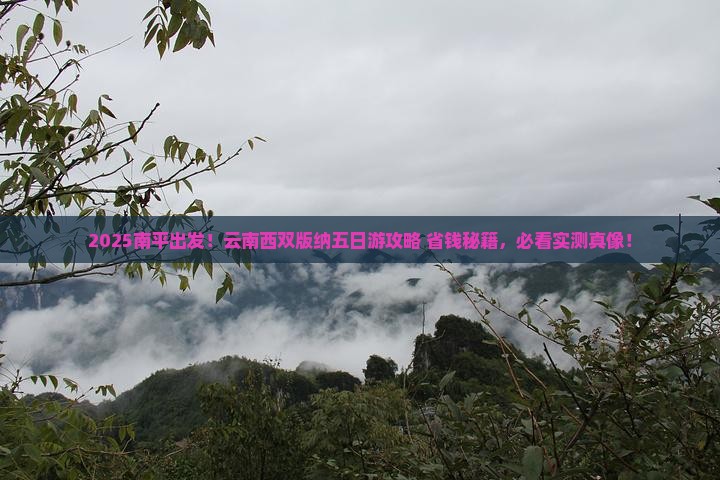 南平去云南西双版纳五日游