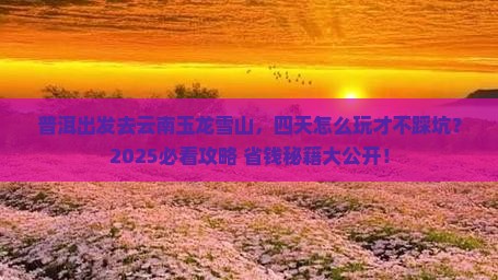 普洱去云南玉龙雪山四日游