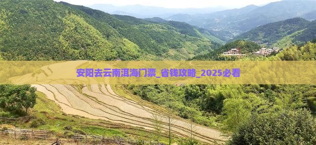 安阳去云南洱海门票