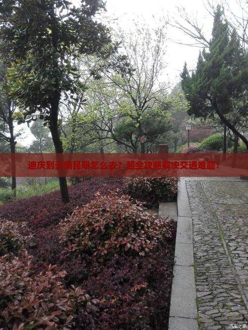 迪庆到云南昆明旅行社