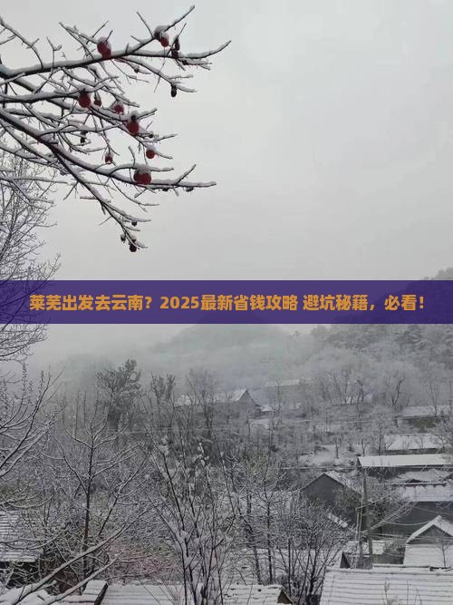 莱芜去云南旅行社
