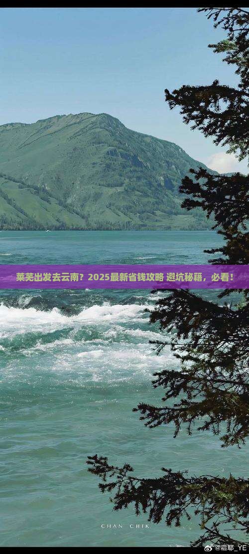 莱芜去云南旅行社