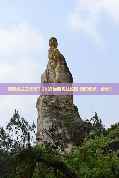 莱芜去云南旅行社