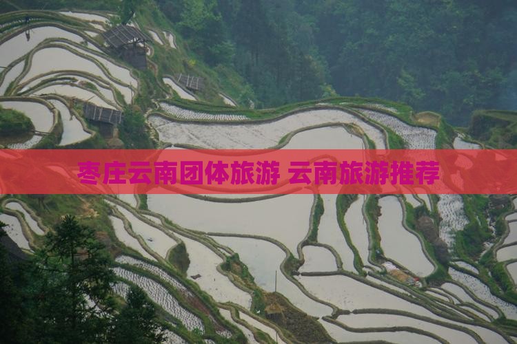 枣庄去云南团体旅游