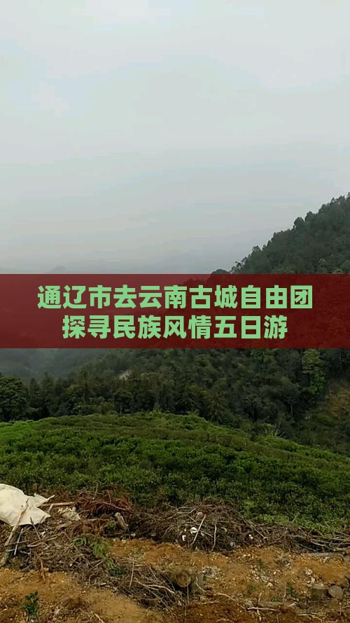 通辽市去云南古城自由团探寻民族风情五日游