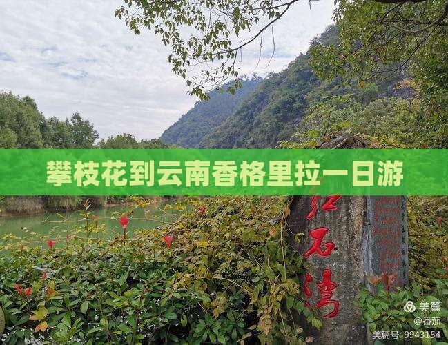 攀枝花到云南香格里拉一日游