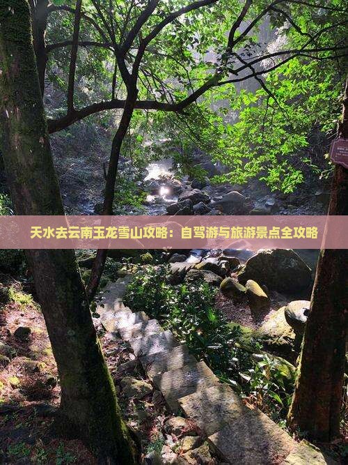 天水去云南玉龙雪山攻略：自驾游与旅游景点全攻略
