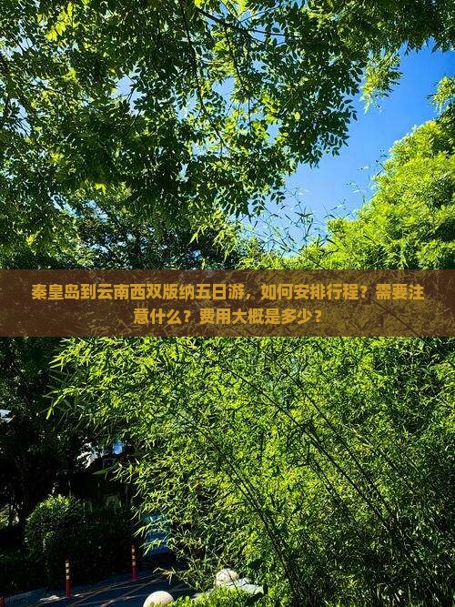 秦皇岛到云南西双版纳五日游，如何安排行程？需要注意什么？费用大概是多少？