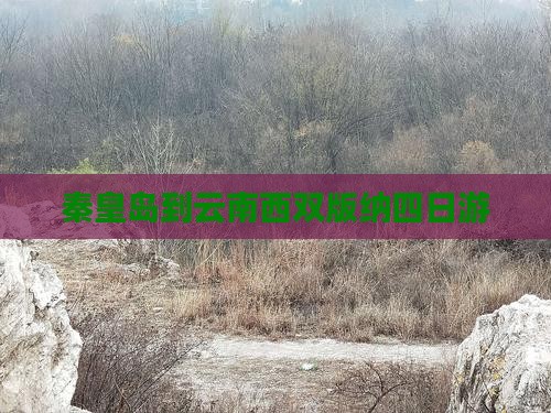 秦皇岛到云南西双版纳四日游