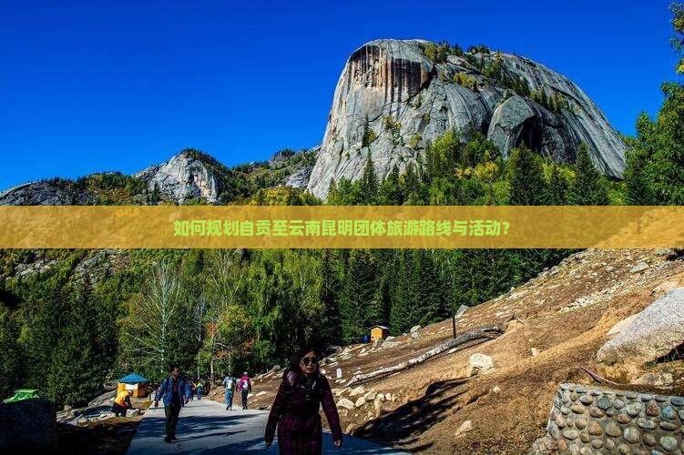 如何规划自贡至云南昆明团体旅游路线与活动？