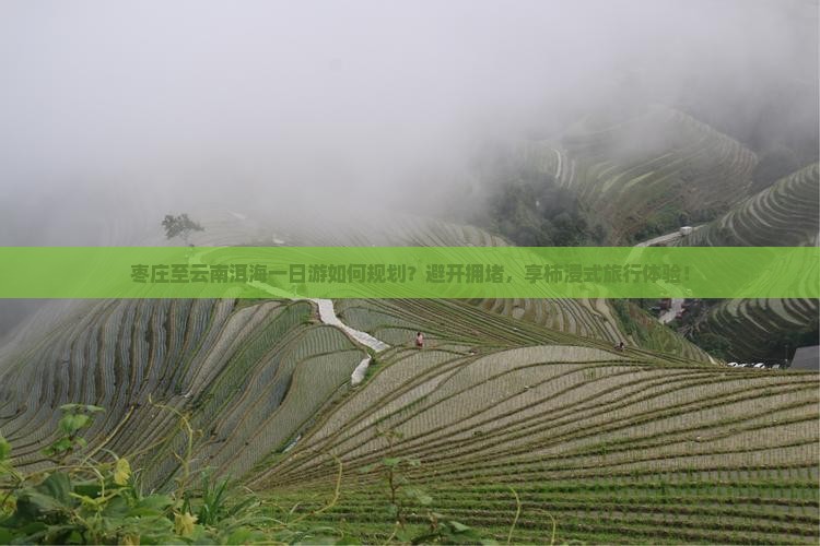 枣庄至云南洱海一日游如何规划？避开拥堵，享柿浸式旅行体验！