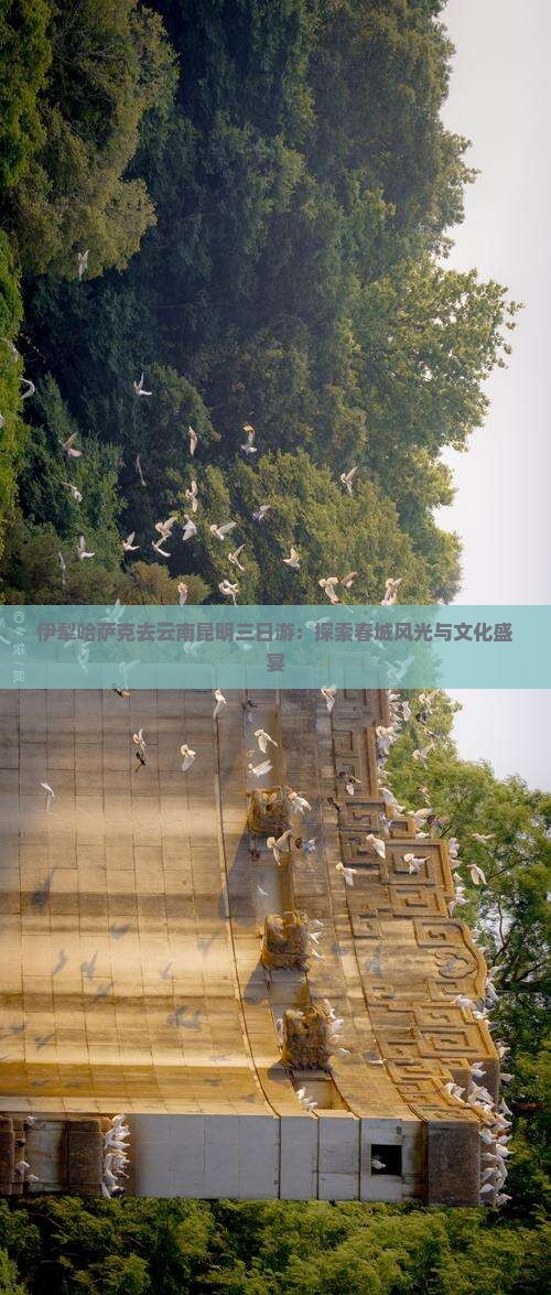 伊犁哈萨克去云南昆明三日游：探索春城风光与文化盛宴