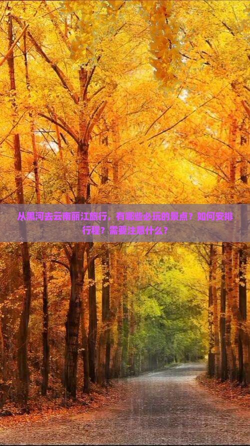 从黑河去云南丽江旅行，有哪些必玩的景点？如何安排行程？需要注意什么？