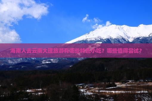 海南人去云南大理旅游有哪些特色小吃？哪些值得尝试？