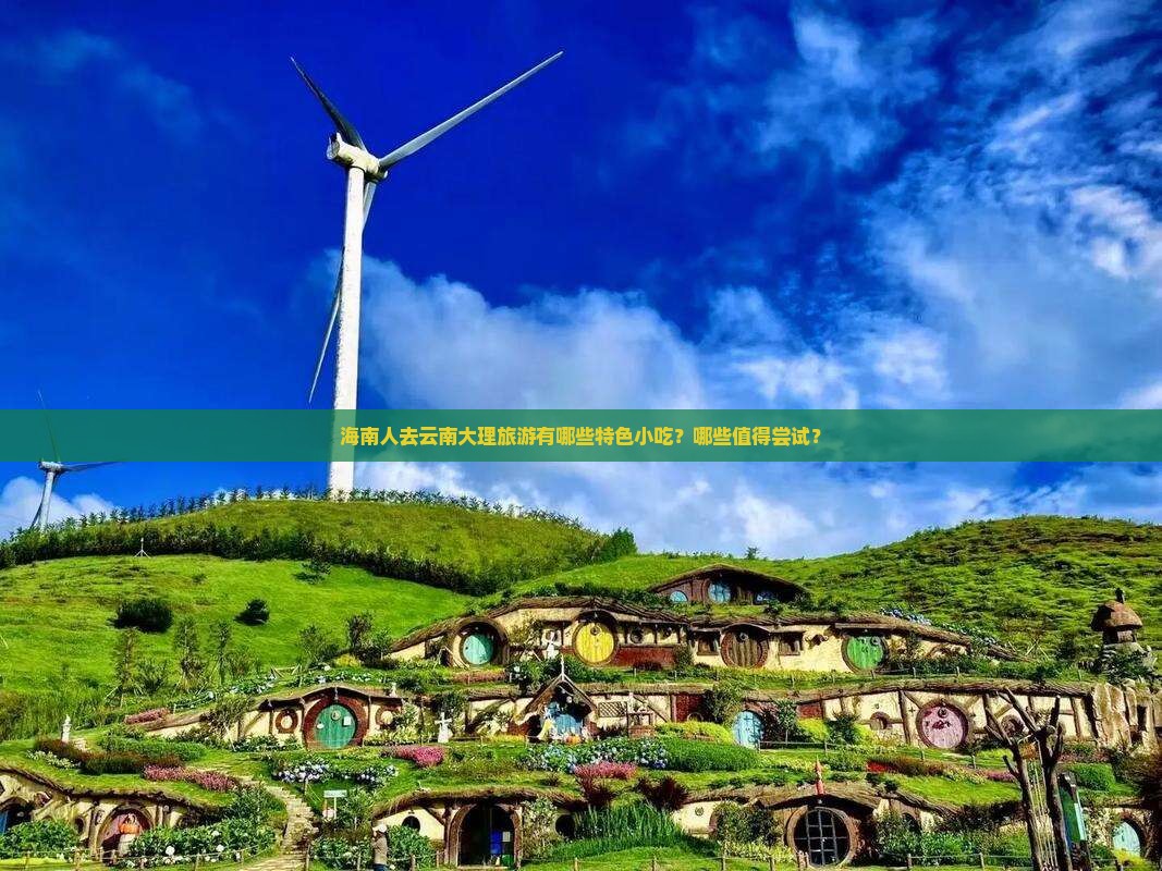 海南人去云南大理旅游有哪些特色小吃？哪些值得尝试？