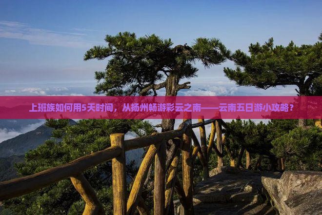 上班族如何用5天时间，从扬州畅游彩云之南——云南五日游小攻略？