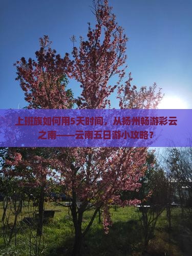 上班族如何用5天时间，从扬州畅游彩云之南——云南五日游小攻略？