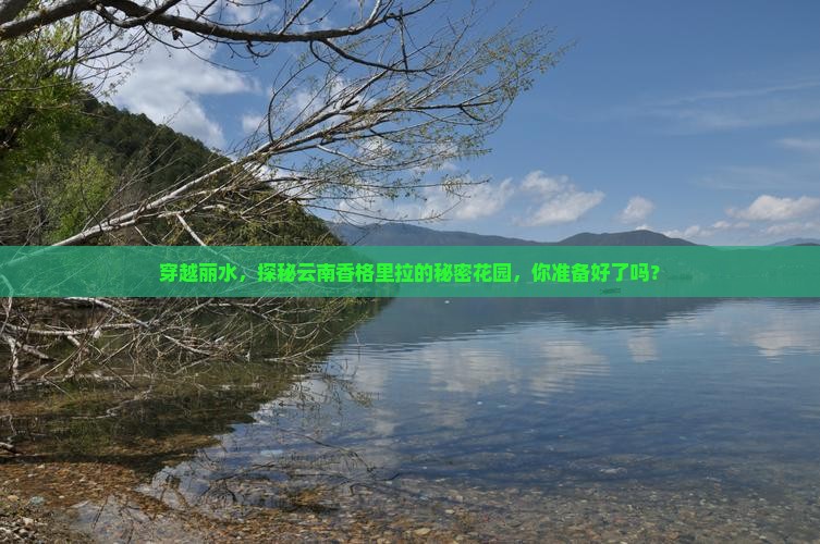 穿越丽水，探秘云南香格里拉的秘密花园，你准备好了吗？
