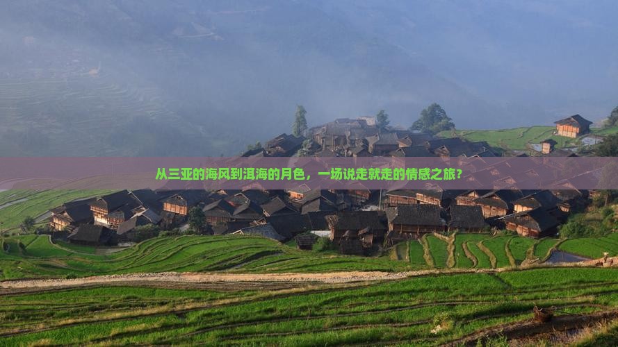 从三亚的海风到洱海的月色，一场说走就走的情感之旅？