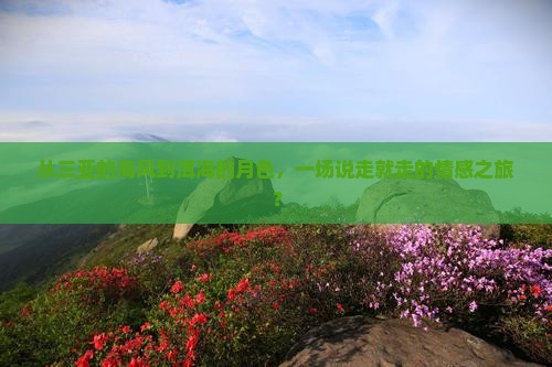 从三亚的海风到洱海的月色，一场说走就走的情感之旅？
