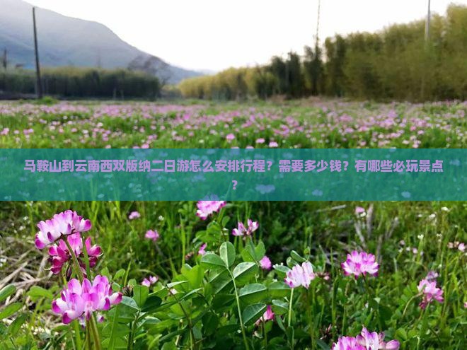 马鞍山到云南西双版纳二日游怎么安排行程？需要多少钱？有哪些必玩景点？