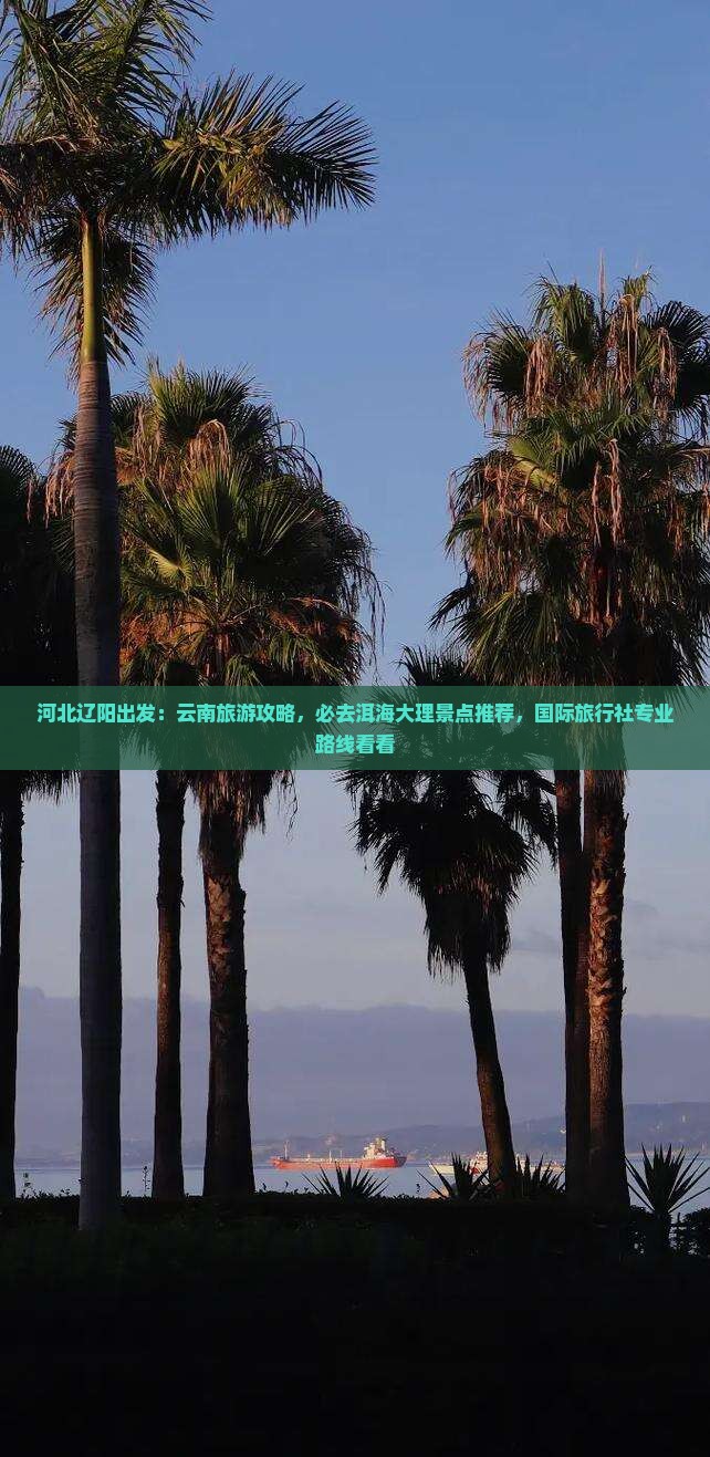 河北辽阳出发：云南旅游攻略，必去洱海大理景点推荐，国际旅行社专业路线看看