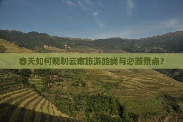 春天如何规划云南旅游路线与必游景点？