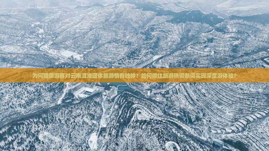 为何醴陵游客对云南洱海团体旅游情有独钟？如何抓住旅游热词新词实现深度游体验？