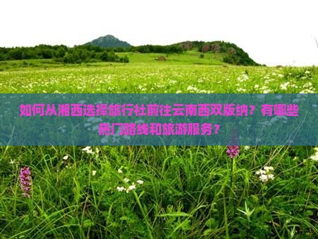 如何从湘西选择旅行社前往云南西双版纳？有哪些热门路线和旅游服务？