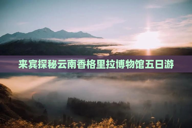 来宾探秘云南香格里拉博物馆五日游