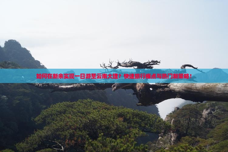 如何在新余实现一日游至云南大理？快速旅行痛点与热门新策略！