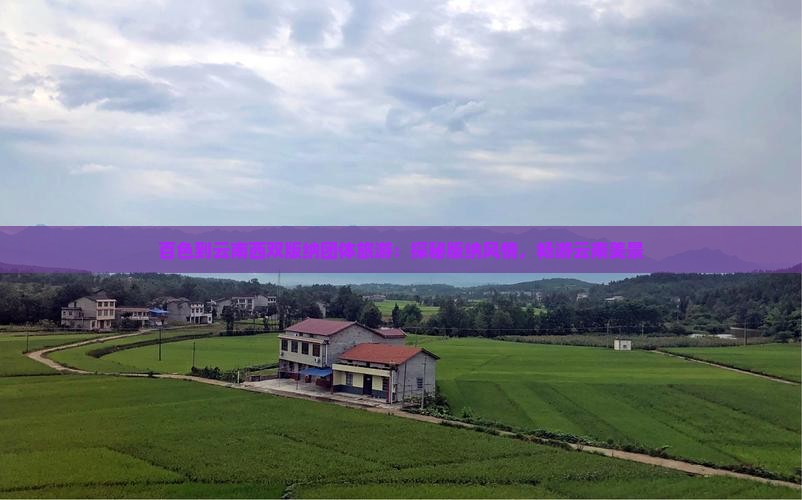 百色到云南西双版纳团体旅游：探秘版纳风情，畅游云南美景