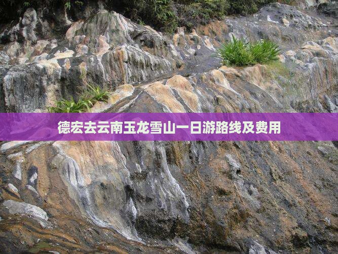 德宏去云南玉龙雪山一日游路线及费用