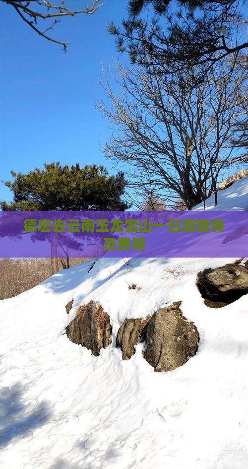 德宏去云南玉龙雪山一日游路线及费用