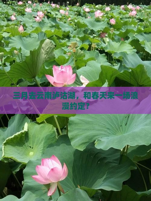 三月去云南泸沽湖，和春天来一场浪漫约定？
