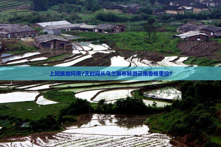 上班族如何用7天时间从乌兰察布畅游云南香格里拉？