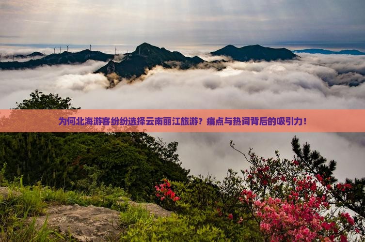 为何北海游客纷纷选择云南丽江旅游？痛点与热词背后的吸引力！